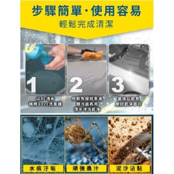 RAIN-X 棕梠閃亮洗車精 591ml