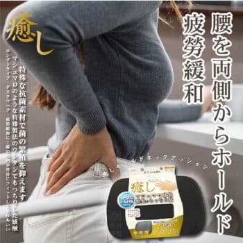 日本DIONE 抗菌低反發-癒護腰墊