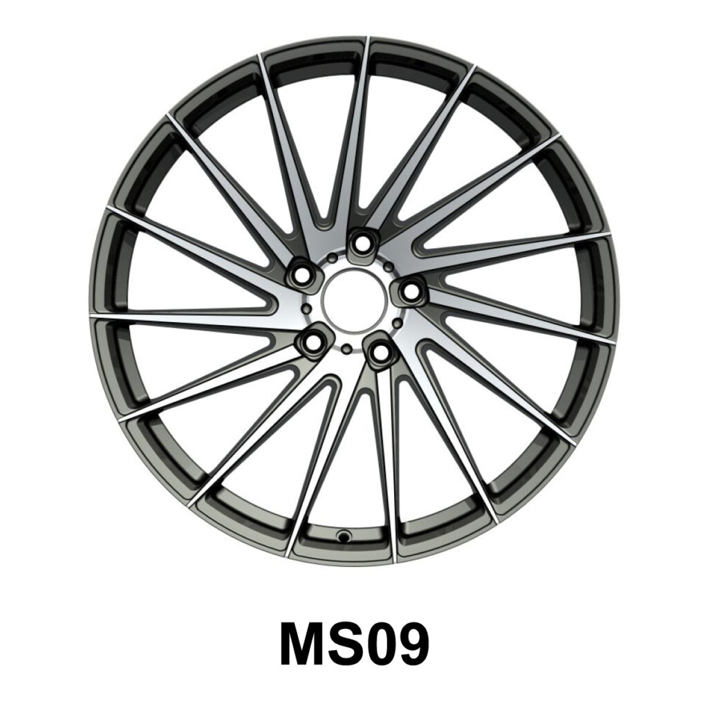 MS-FLOW-FORGED-MS09