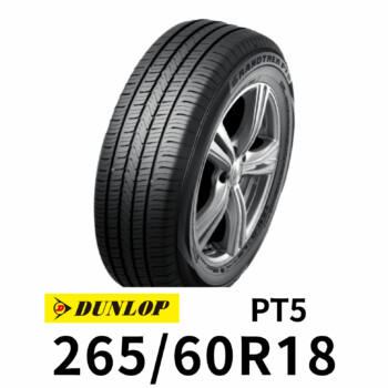 PT5-2656018